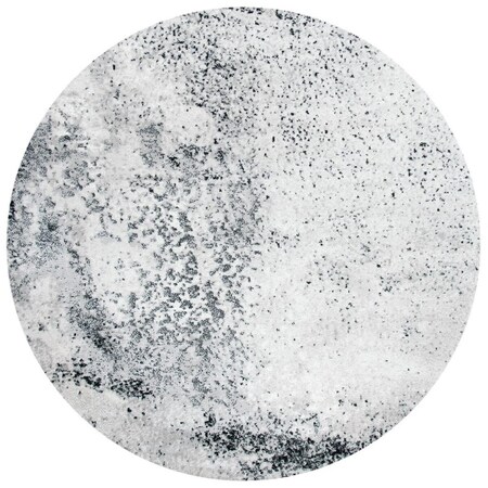 Safavieh Skyler Power Loomed Round Rug; Silver & Black - 6 ft. 7 in. x 6 ft. 7 in. SKY163F-6R
